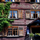 schwarzenb_ 4_jpg-1314701202