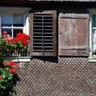 schwarzenb_11_jpg-1314701266