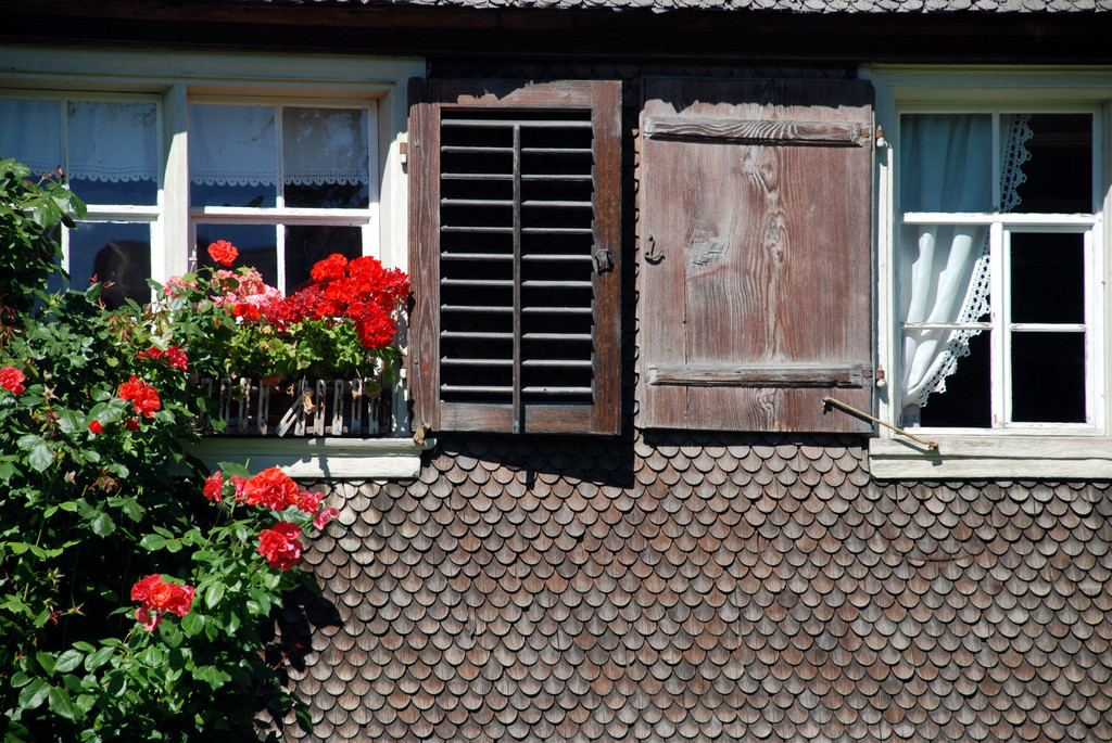 schwarzenb_11_jpg-1314701266