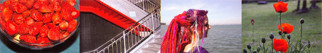 wanko_ausstellung01_jpg-1314701309