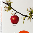 Kampagne_Neugierig_2001-2003_Apfel _c_ B__ro X.jpg