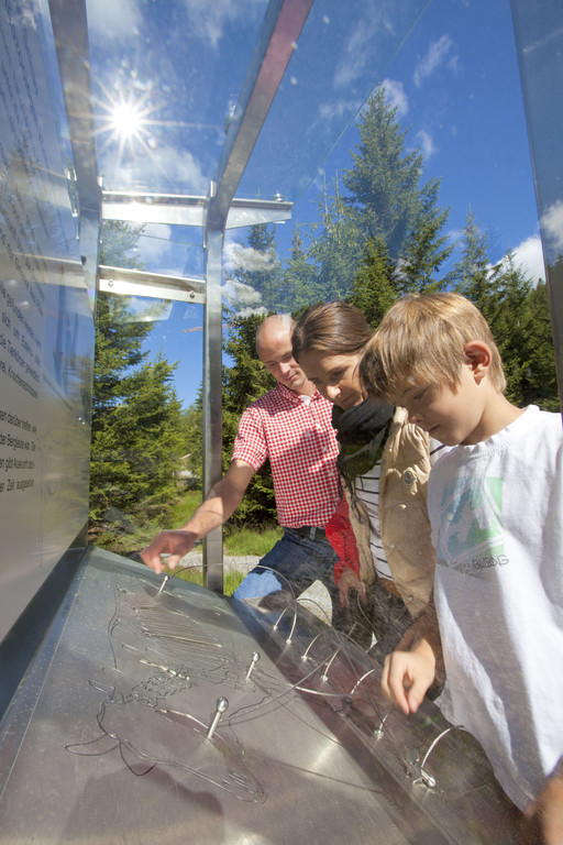 IMG_7819_JPG-1314706608