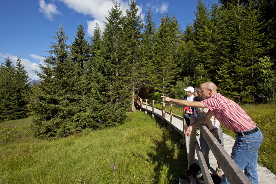 IMG_7714_jpg-1314706752