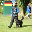 DSC03596.JPG
