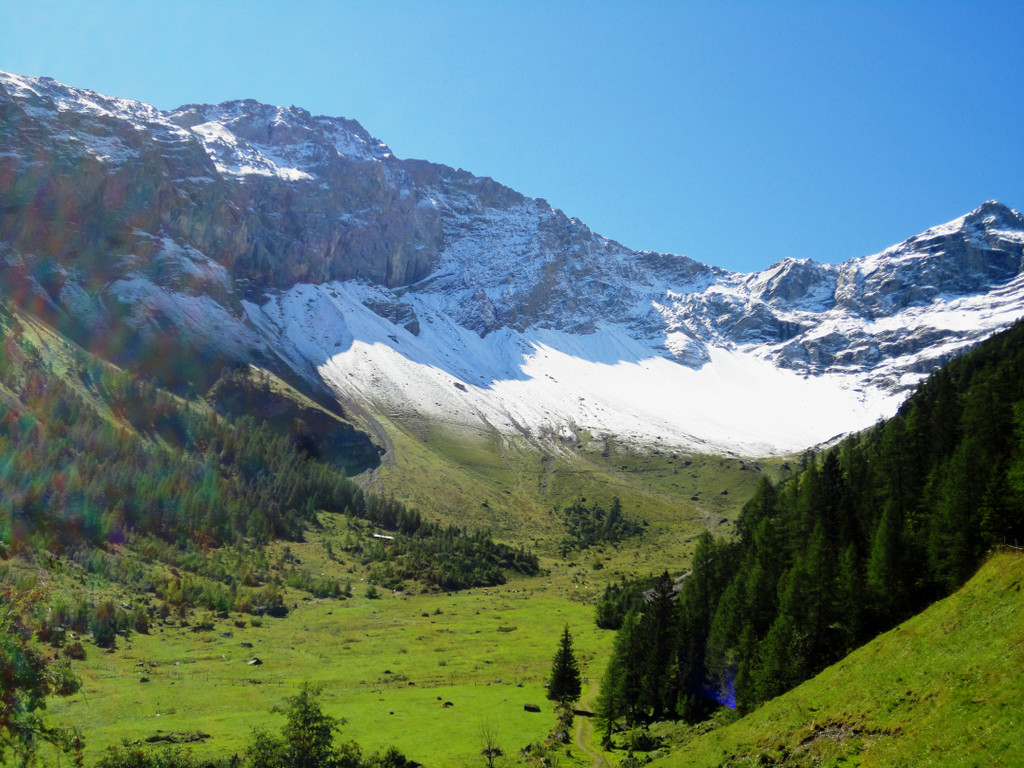Alpe Untere Br__ggele_ Brand - 28_8_2011 013_JPG-1314740158