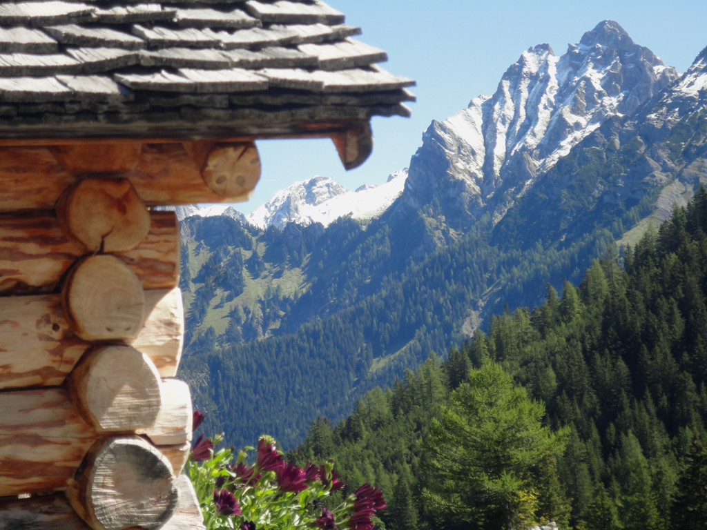 Alpe Untere Br__ggele_ Brand - 28_8_2011 015_JPG-1314740239
