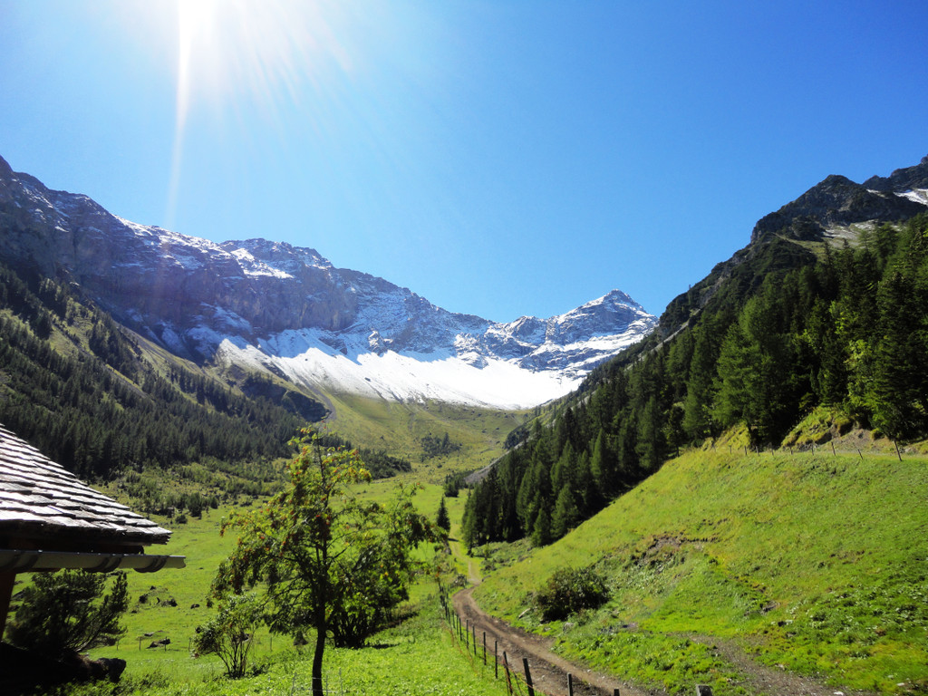 Alpe Untere Br__ggele_ Brand - 28_8_2011 066_JPG-1314741162