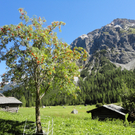 Alpe Untere Br__ggele_ Brand - 28_8_2011 088_JPG-1314741256