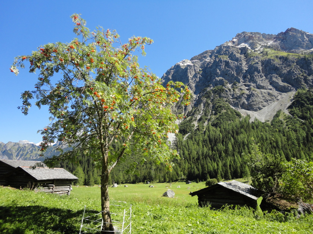 Alpe Untere Br__ggele_ Brand - 28_8_2011 088_JPG-1314741256