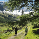 Alpe Untere Br__ggele_ Brand - 28_8_2011 096_JPG-1314741455