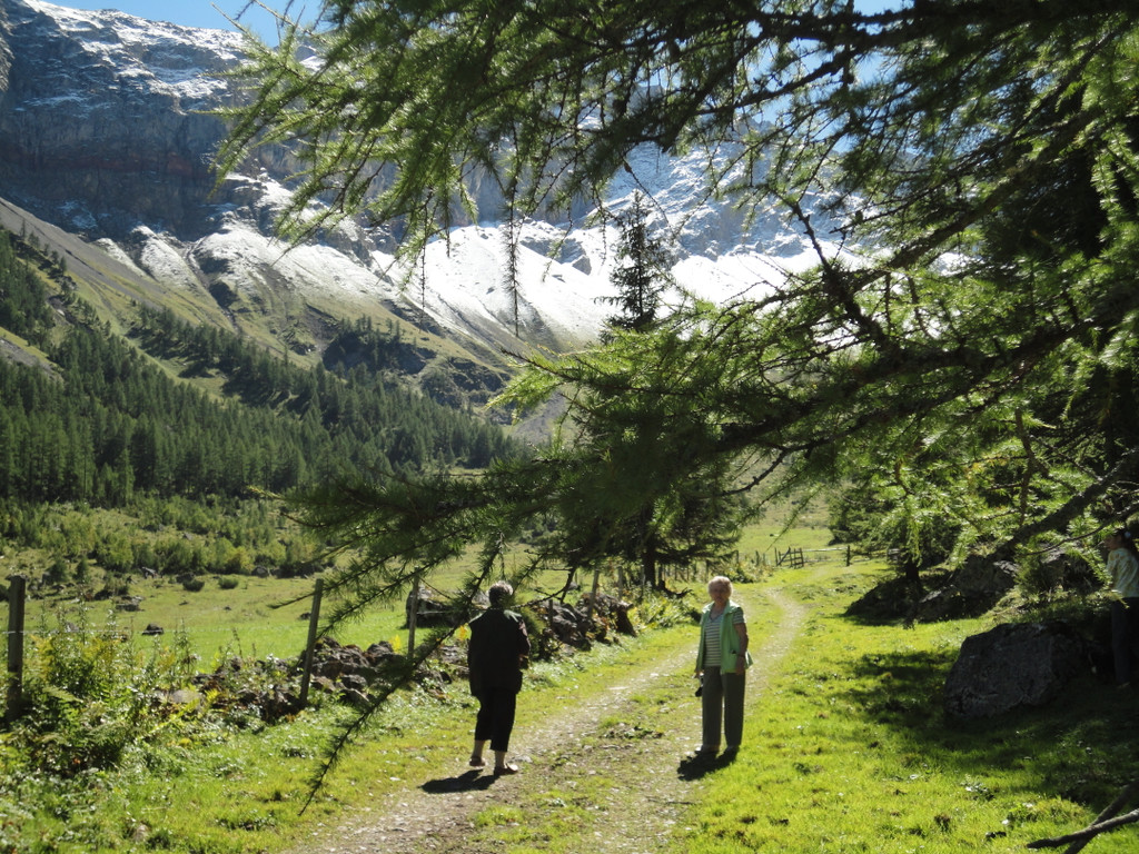 Alpe Untere Br__ggele_ Brand - 28_8_2011 096_JPG-1314741455