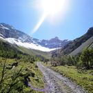Alpe Untere Br__ggele_ Brand - 28_8_2011 127_JPG-1314741833