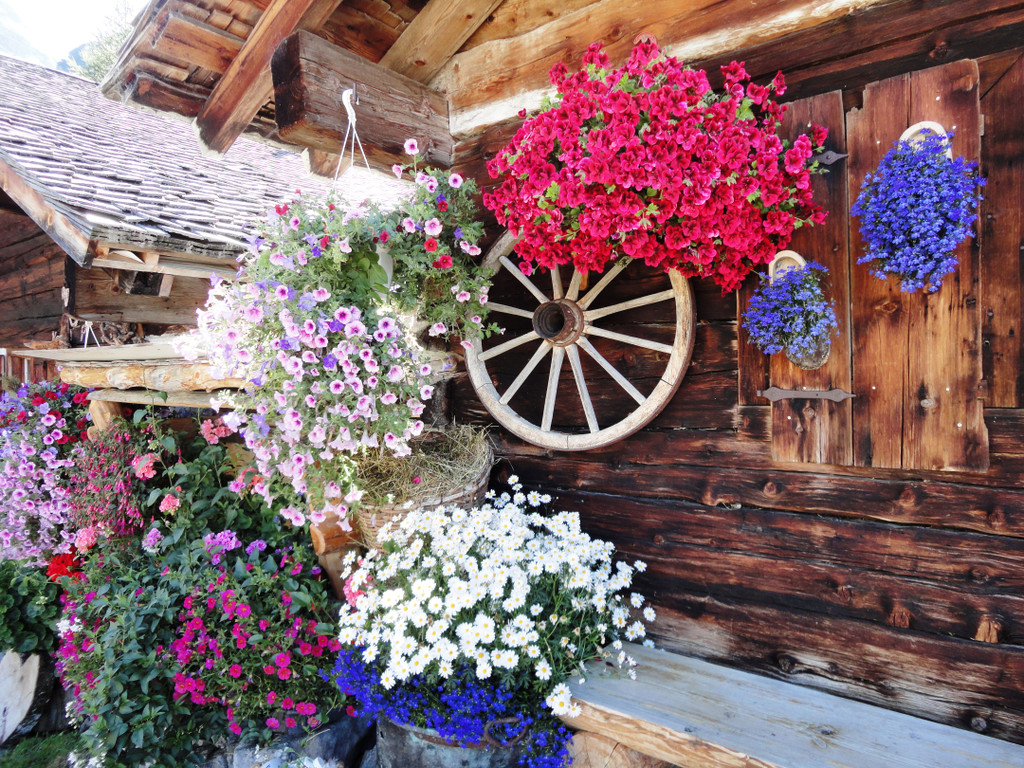 Alpe Untere Br__ggele_ Brand - 28_8_2011 151_JPG-1314742016