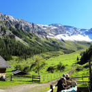 Alpe Untere Br__ggele_ Brand - 28_8_2011 154_JPG-1314742106