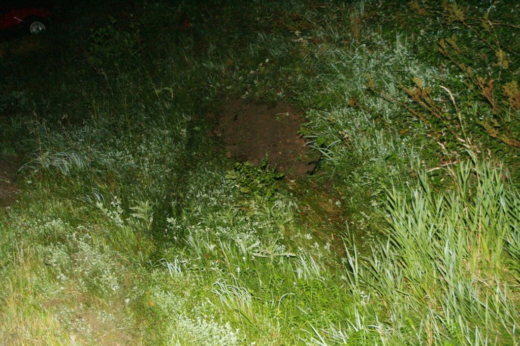 normal_30082011vuteisendorfb304kjaktivnews_008.jpg