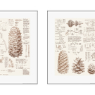 1108_IKEA_PE287826.jpg