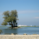 IMG_1214_JPG-1314868538