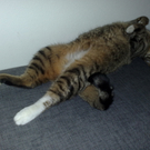 090120111134.jpg
