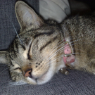 170720101012.jpg