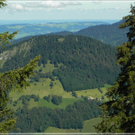 DSCN6226.JPG