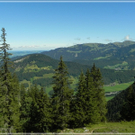 DSCN6235.JPG
