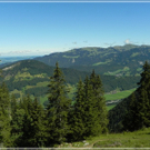 DSCN6239.JPG