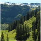 DSCN6302.JPG