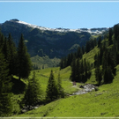 DSCN6303.JPG
