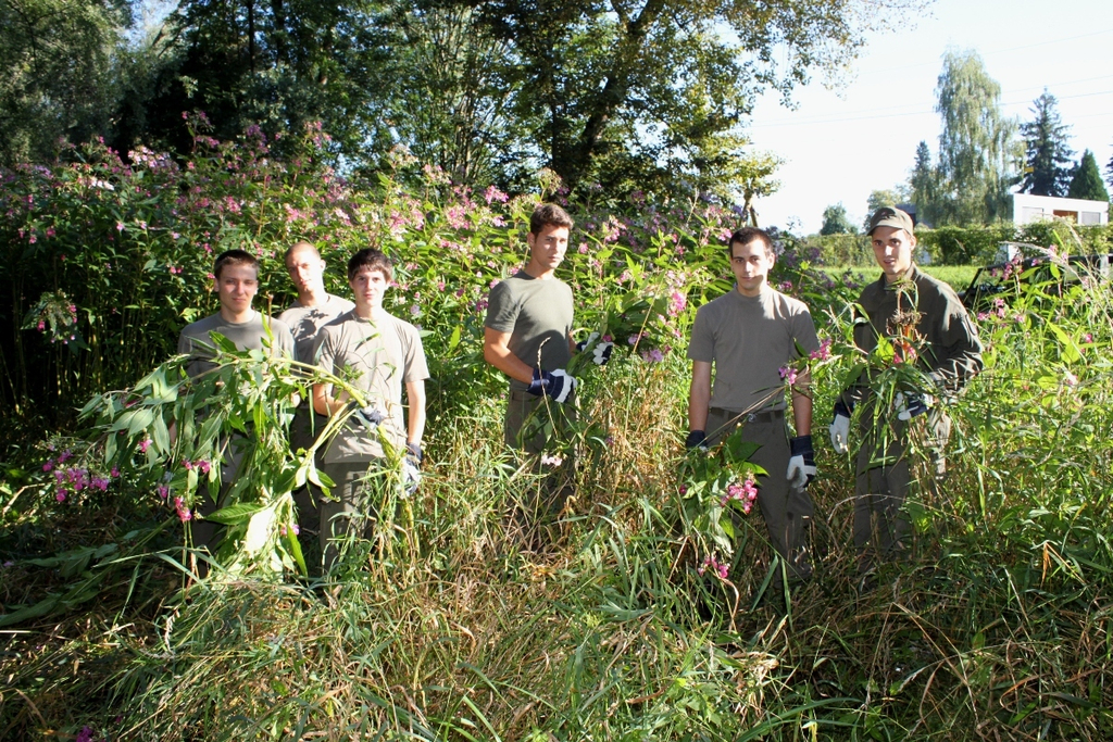 Springkraut Einsatz Militaer 17-08-2011 _1__jpg-1314898299