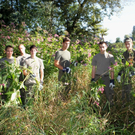 Das Bundesheer im "Springkraut-Einsatz" am See