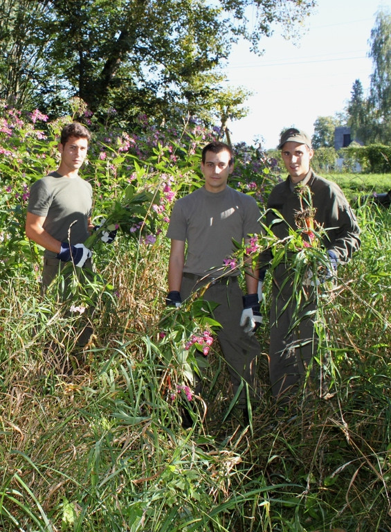 Springkraut Einsatz Militaer 17-08-2011 _2__jpg-1314898319