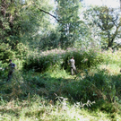 Springkraut Einsatz Militaer 17-08-2011 _7__jpg-1314898436