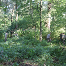 Springkraut Einsatz Militaer 17-08-2011 _9__jpg-1314898482