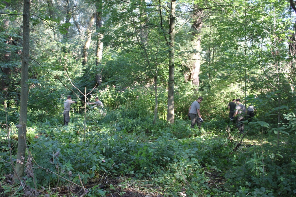 Springkraut Einsatz Militaer 17-08-2011 _9__jpg-1314898482