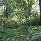 Springkraut Einsatz Militaer 17-08-2011 _11__jpg-1314898525