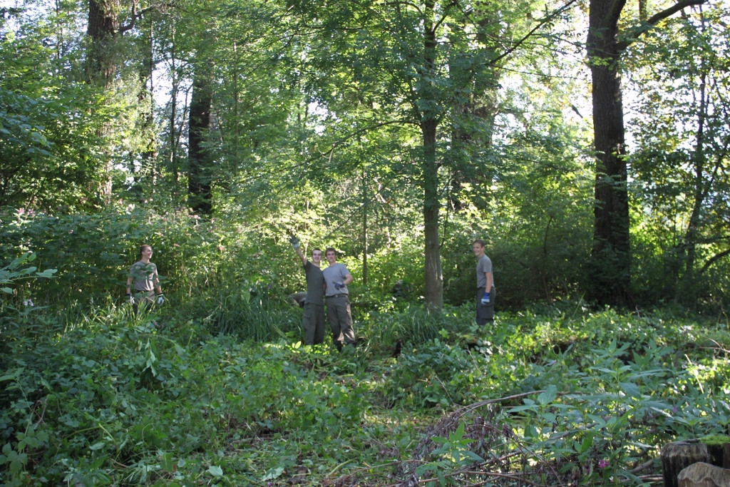 Springkraut Einsatz Militaer 17-08-2011 _11__jpg-1314898525
