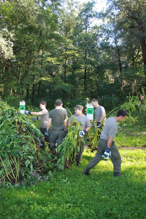 Springkraut Einsatz Militaer 17-08-2011 _14__jpg-1314898589