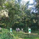 Springkraut Einsatz Militaer 17-08-2011 _15__jpg-1314898612