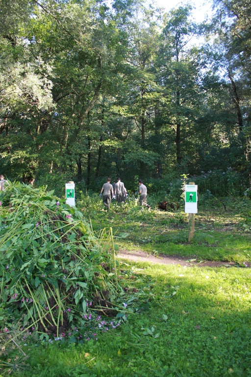 Springkraut Einsatz Militaer 17-08-2011 _15__jpg-1314898612