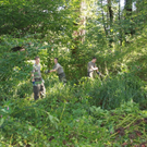 Springkraut Einsatz Militaer 17-08-2011 _22__jpg-1314898766