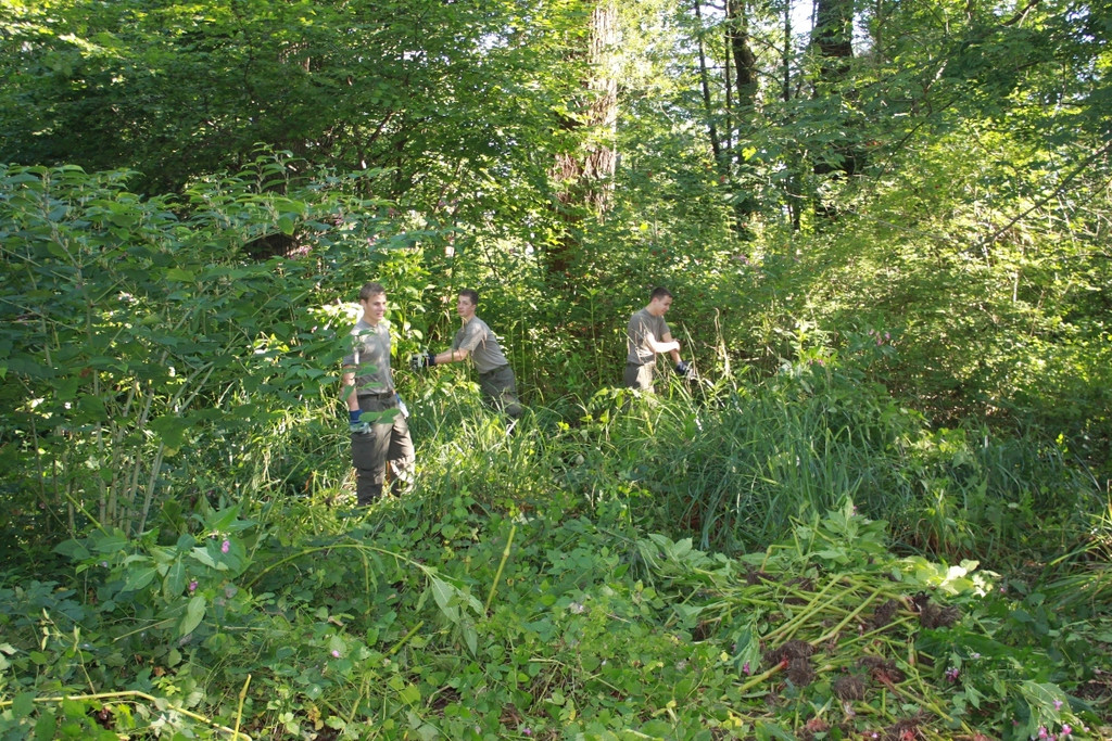 Springkraut Einsatz Militaer 17-08-2011 _22__jpg-1314898766