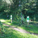 Springkraut Einsatz Militaer 17-08-2011 _20__jpg-1314898720