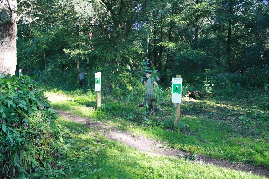 Springkraut Einsatz Militaer 17-08-2011 _20__jpg-1314898720