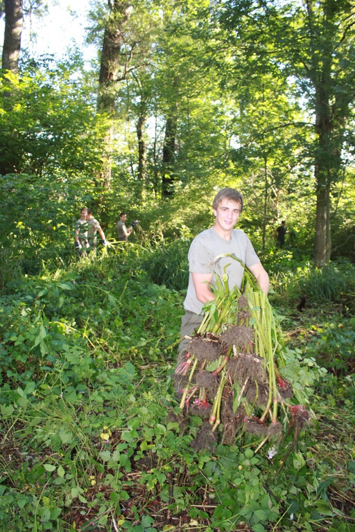 Springkraut Einsatz Militaer 17-08-2011 _21__jpg-1314898742