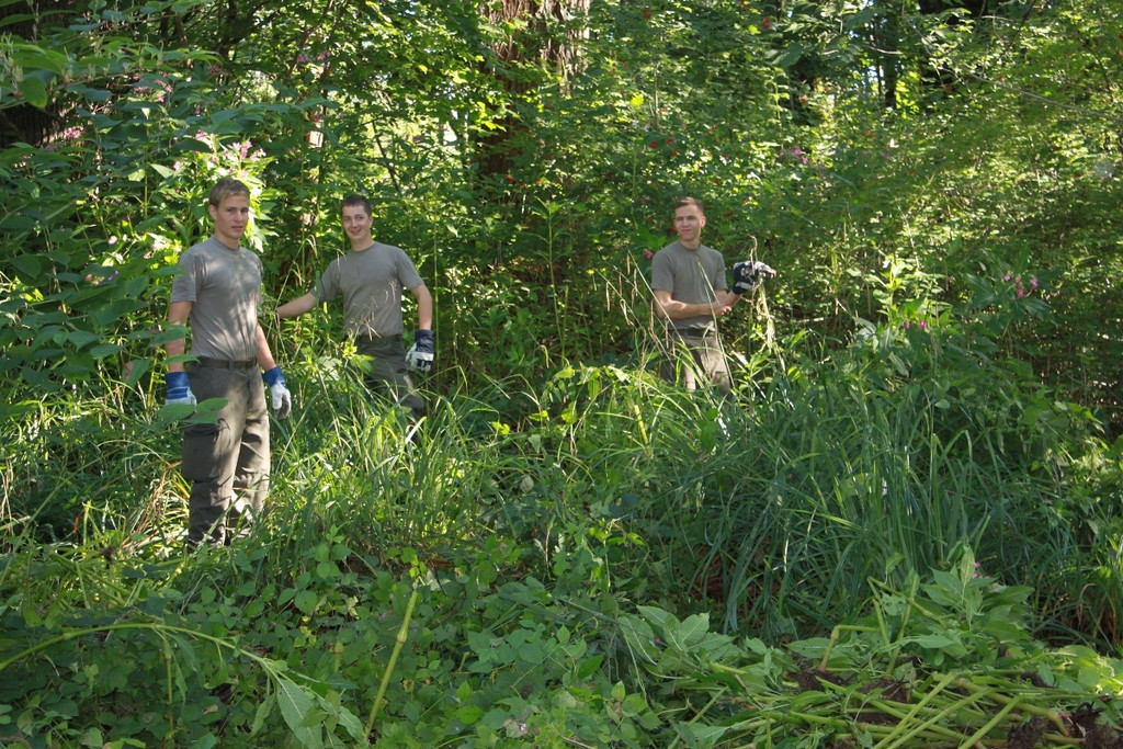 Springkraut Einsatz Militaer 17-08-2011 _23__jpg-1314898788