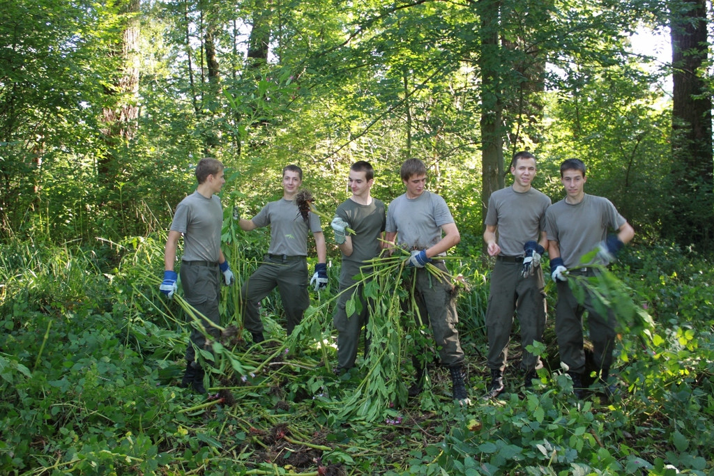 Springkraut Einsatz Militaer 17-08-2011 _24__jpg-1314898810