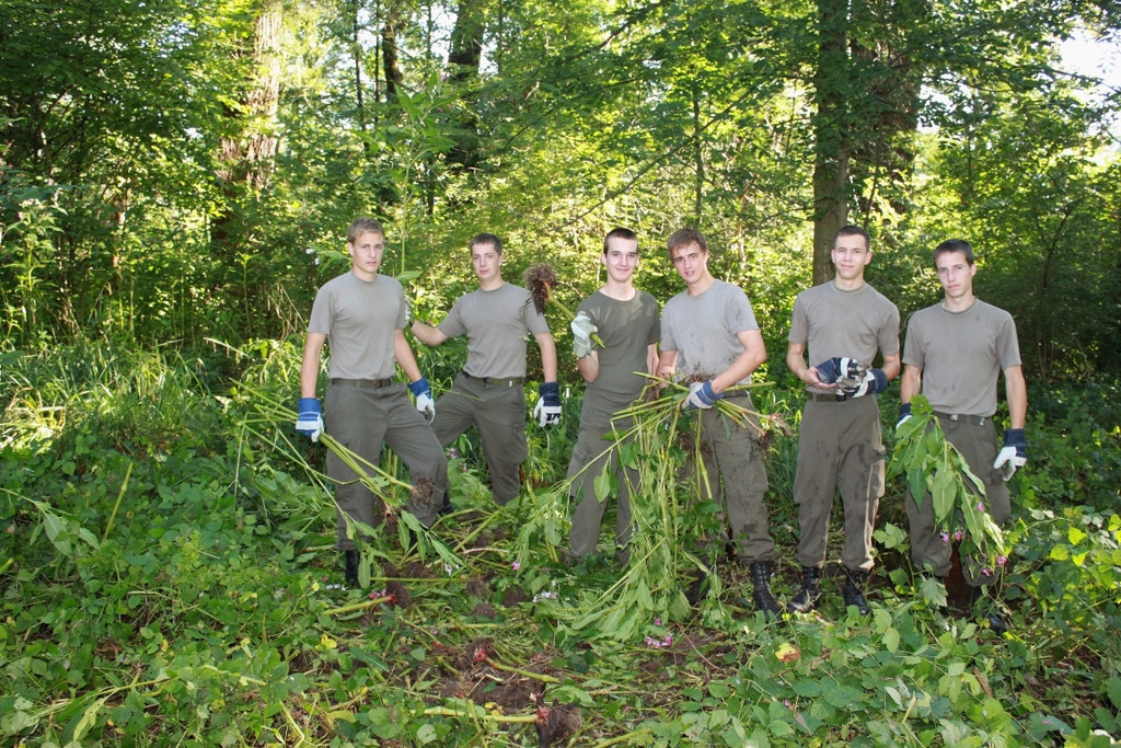 Springkraut Einsatz Militaer 17-08-2011 _25__jpg-1314898833