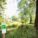 Springkraut Einsatz Militaer 17-08-2011 _26__jpg-1314898853