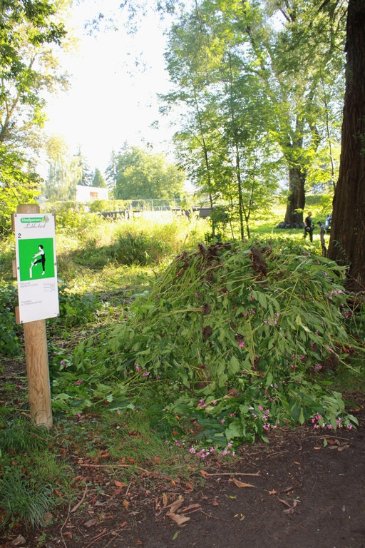 Springkraut Einsatz Militaer 17-08-2011 _26__jpg-1314898853