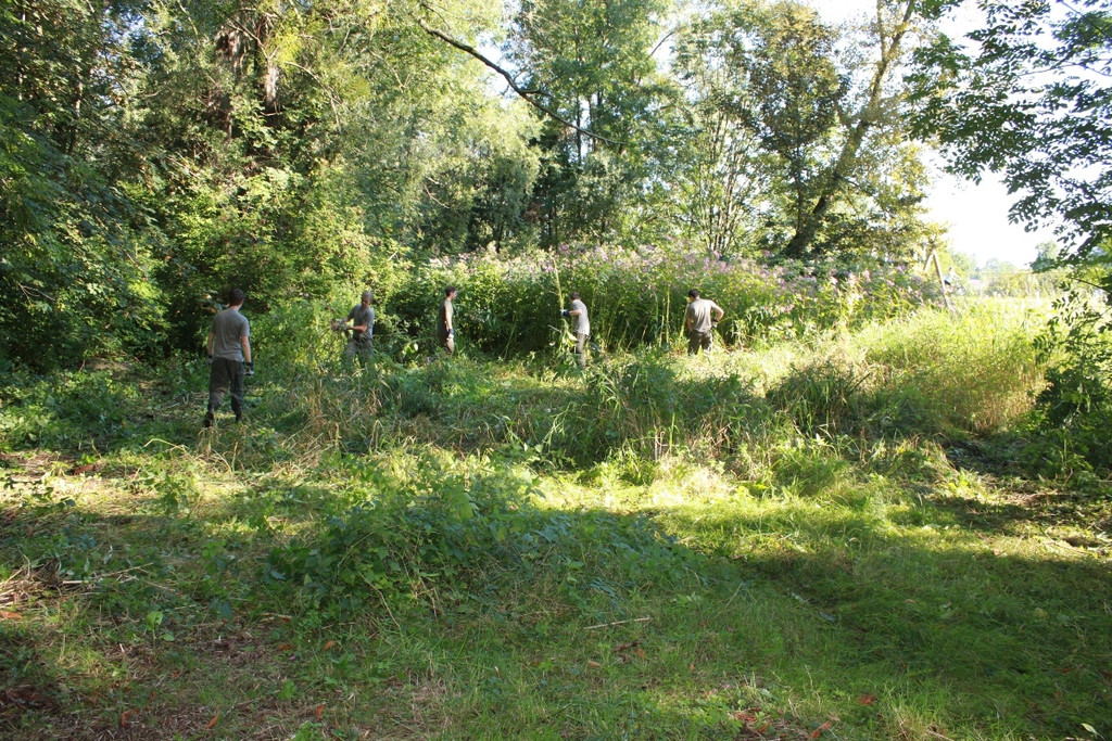 Springkraut Einsatz Militaer 17-08-2011 _27__jpg-1314898878